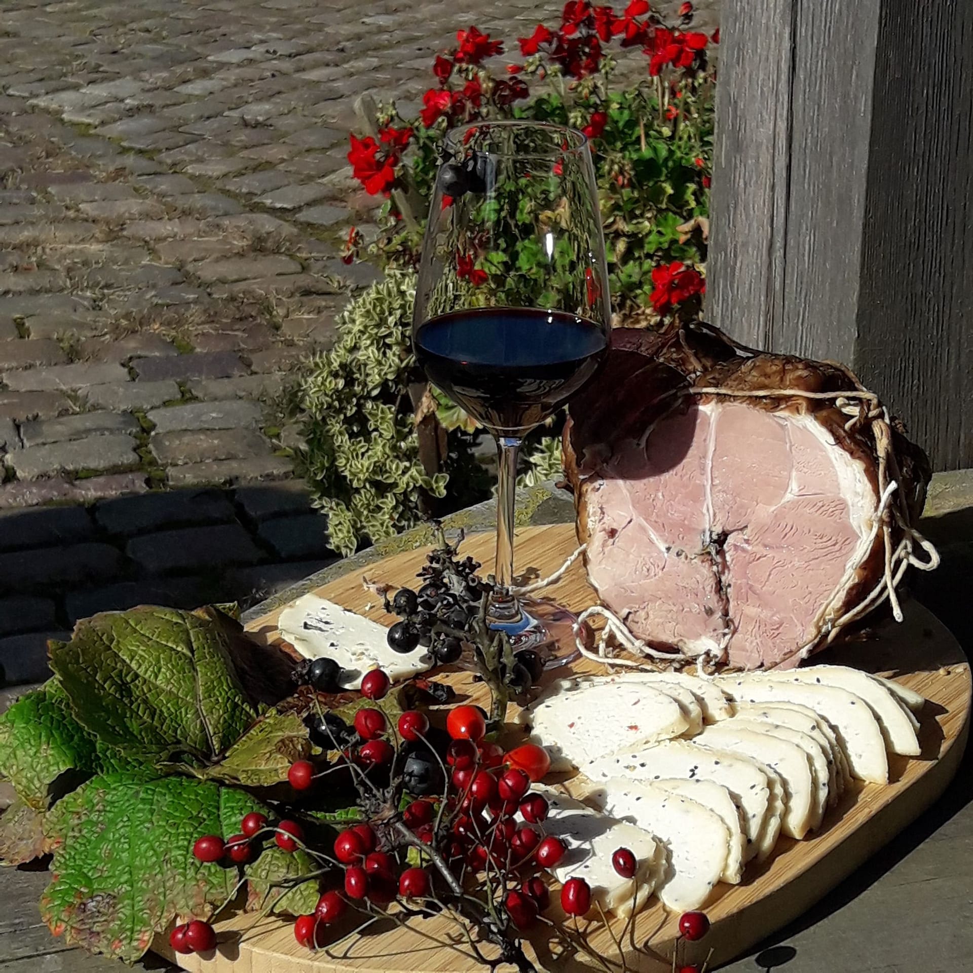 341825711_210396325072366_2504502268886129039_n