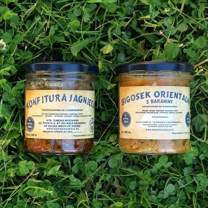 341887977_127763436956144_9060418437639572103_n