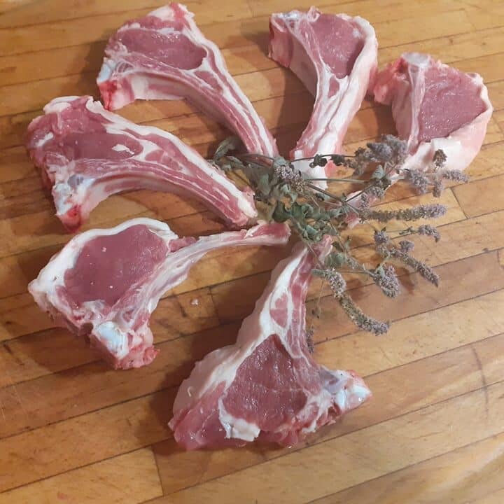 343578154_595771735985637_5445696895419800378_n